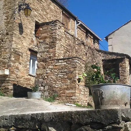 Le Camelia De La Mazarie