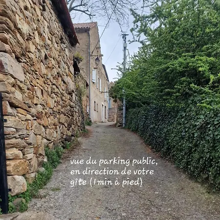 Le Camélia De La Mazarié