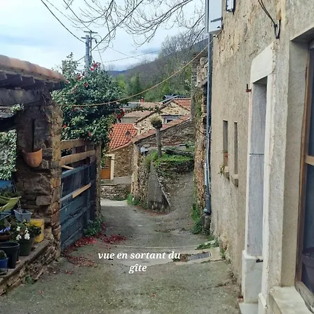 Le Camélia De La Mazarié 3*