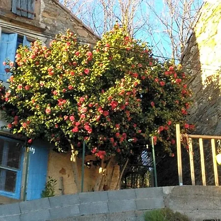Le Camélia De La Mazarié 3*