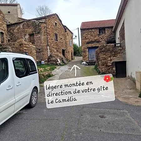 Le Camélia De La Mazarié Saint-Vincent (Herault)