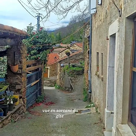 Couette-café Le Camélia De La Mazarié