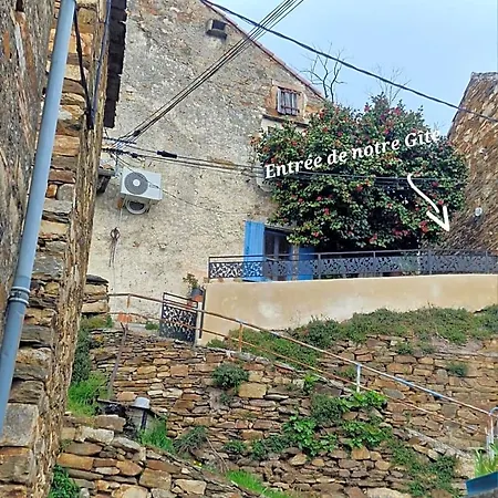 Couette-café Le Camélia De La Mazarié